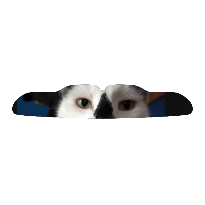 Selbst Designen - Maßgefertigter Mundschutz mit Abdruckset