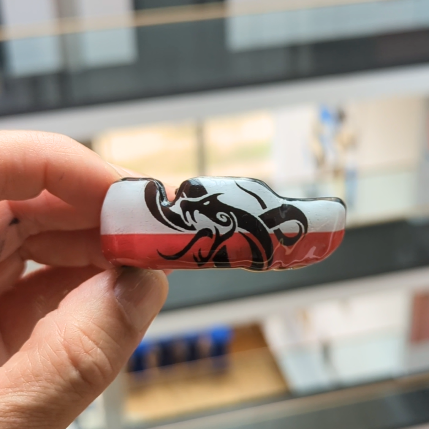 Selbst Designen - Maßgefertigter Mundschutz mit Abdruckset