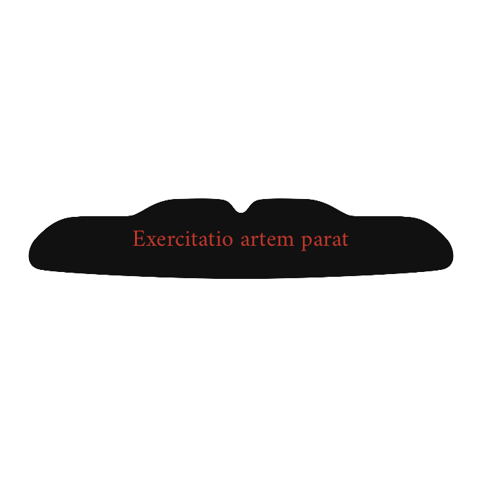 Selbst Designen - Maßgefertigter Mundschutz mit Abdruckset