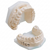 Dental model stays stored